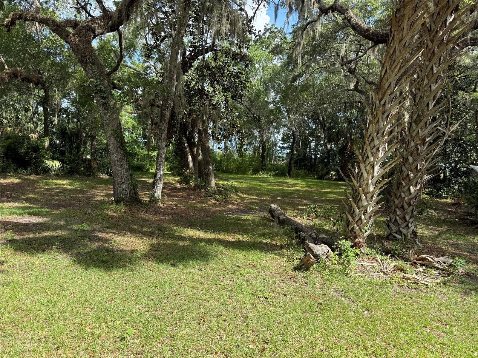 5217 E Parsons Point Rd Property Photo 4