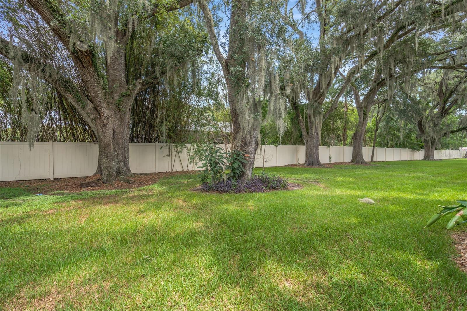 2958 Royal Tuscan Ln Property Photo 6