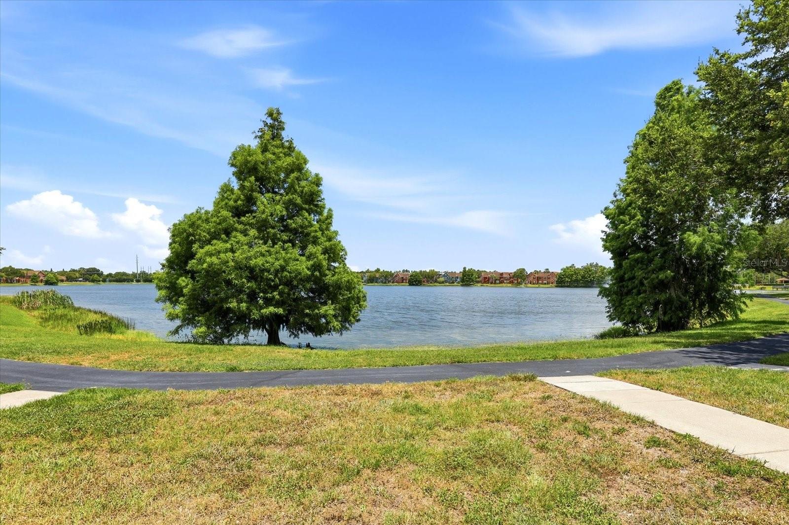 9256 Lake Chase Island Way Property Photo 7
