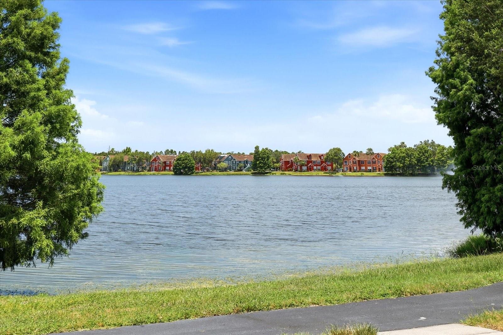 9256 Lake Chase Island Way Property Photo 8