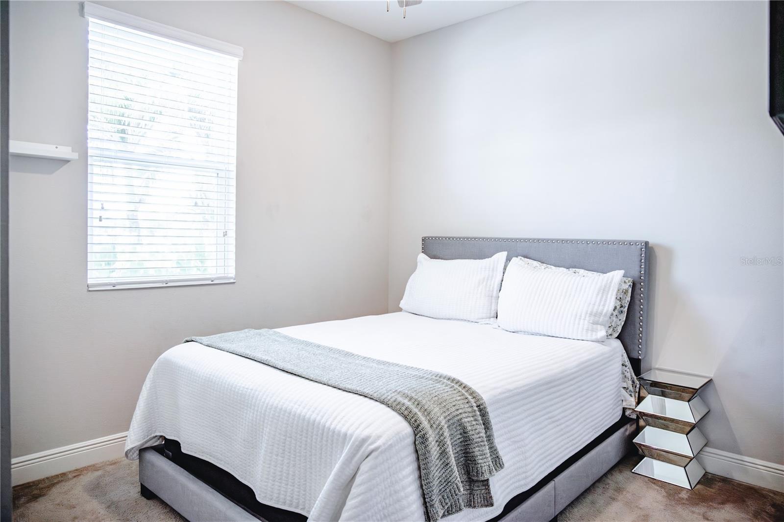 10452 Laguna Plains Dr Property Photo 3