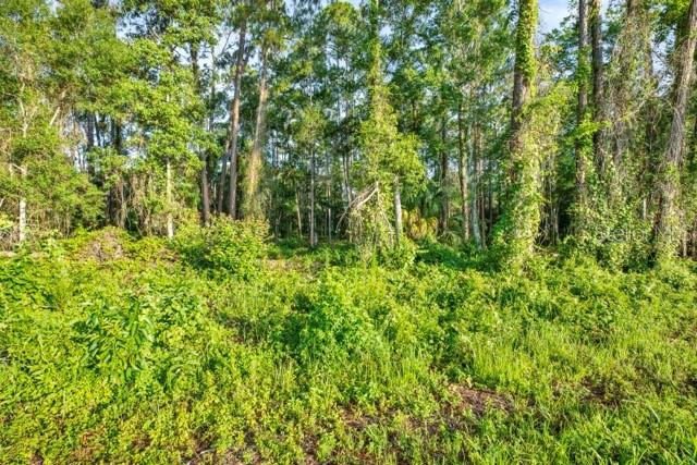 0 Treiman Blvd Property Photo 3
