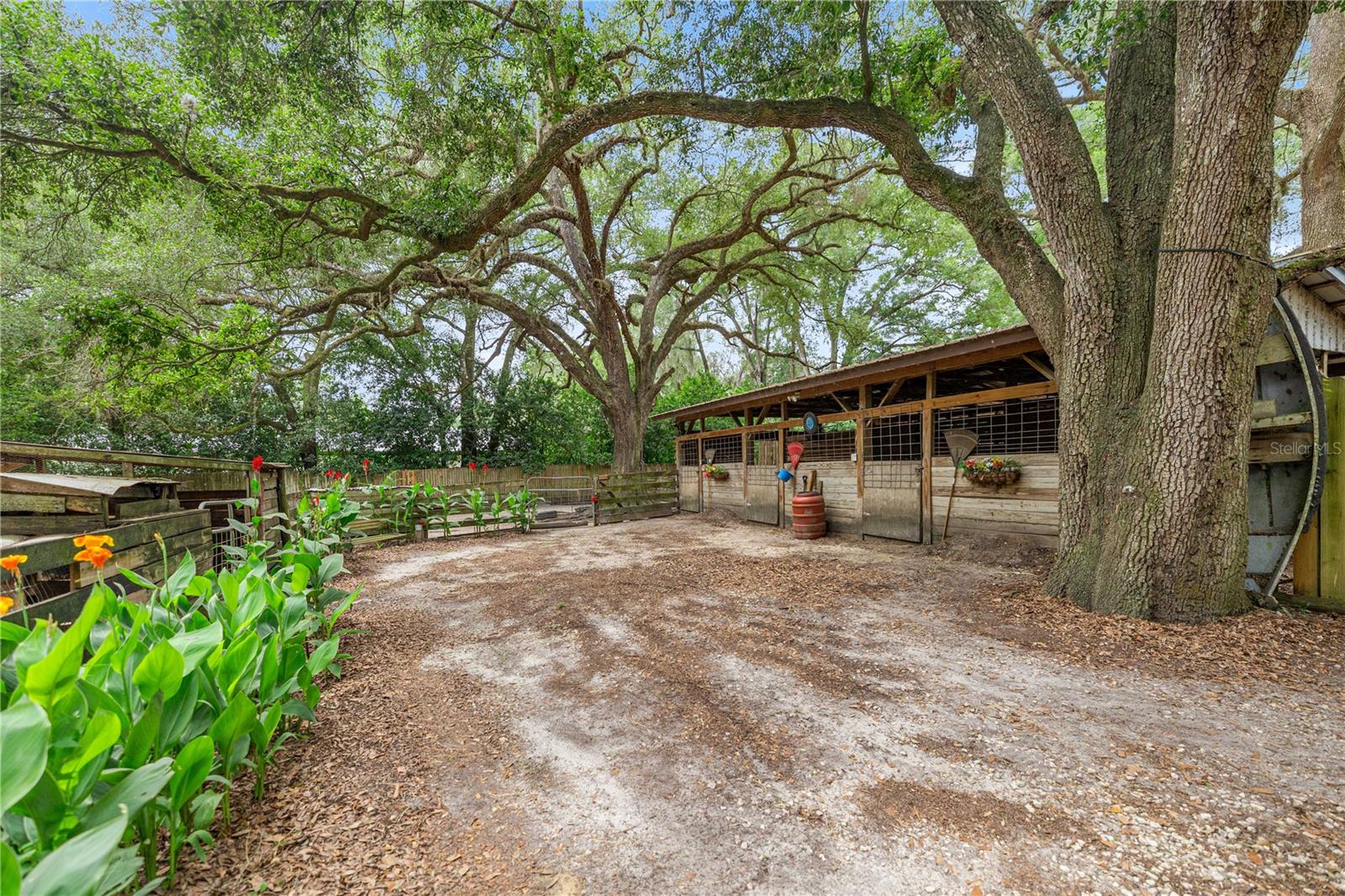 4556 E View Top Ln Property Photo 60