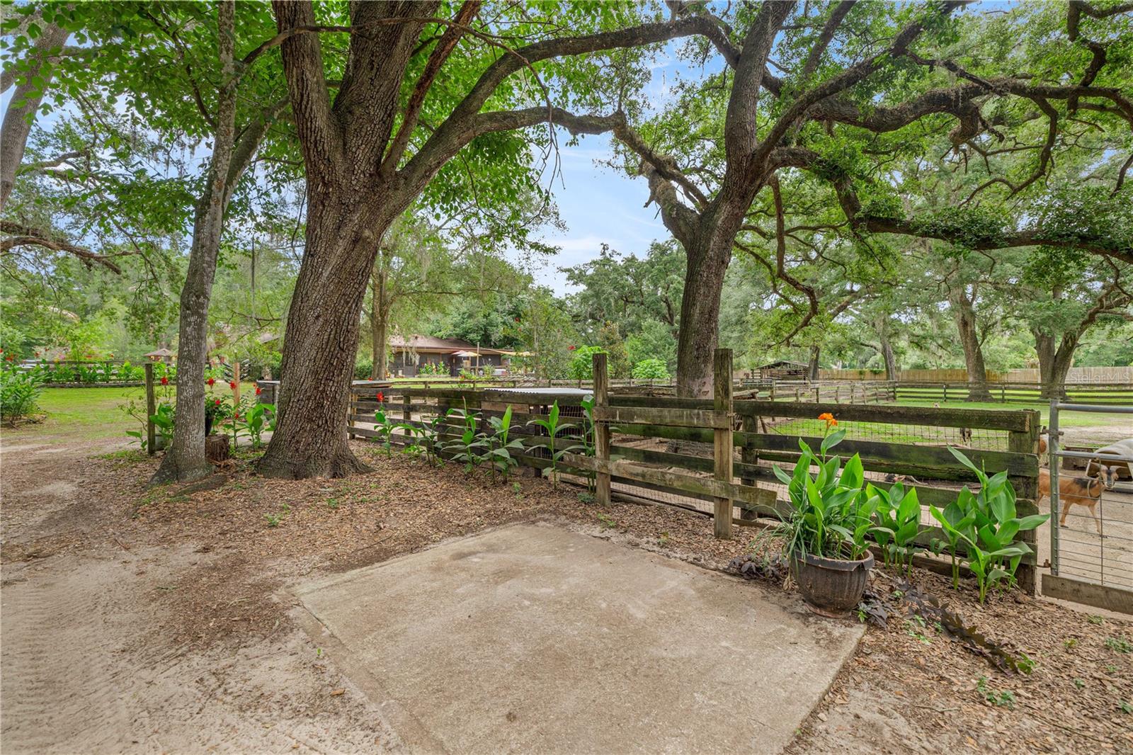 4556 E View Top Ln Property Photo 68