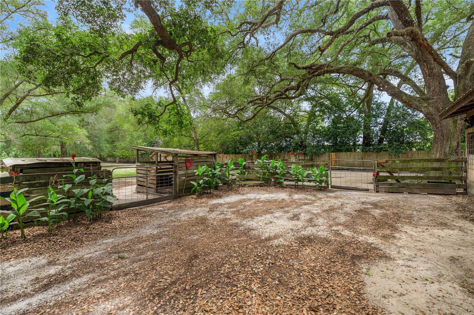 4556 E View Top Ln Property Photo 70