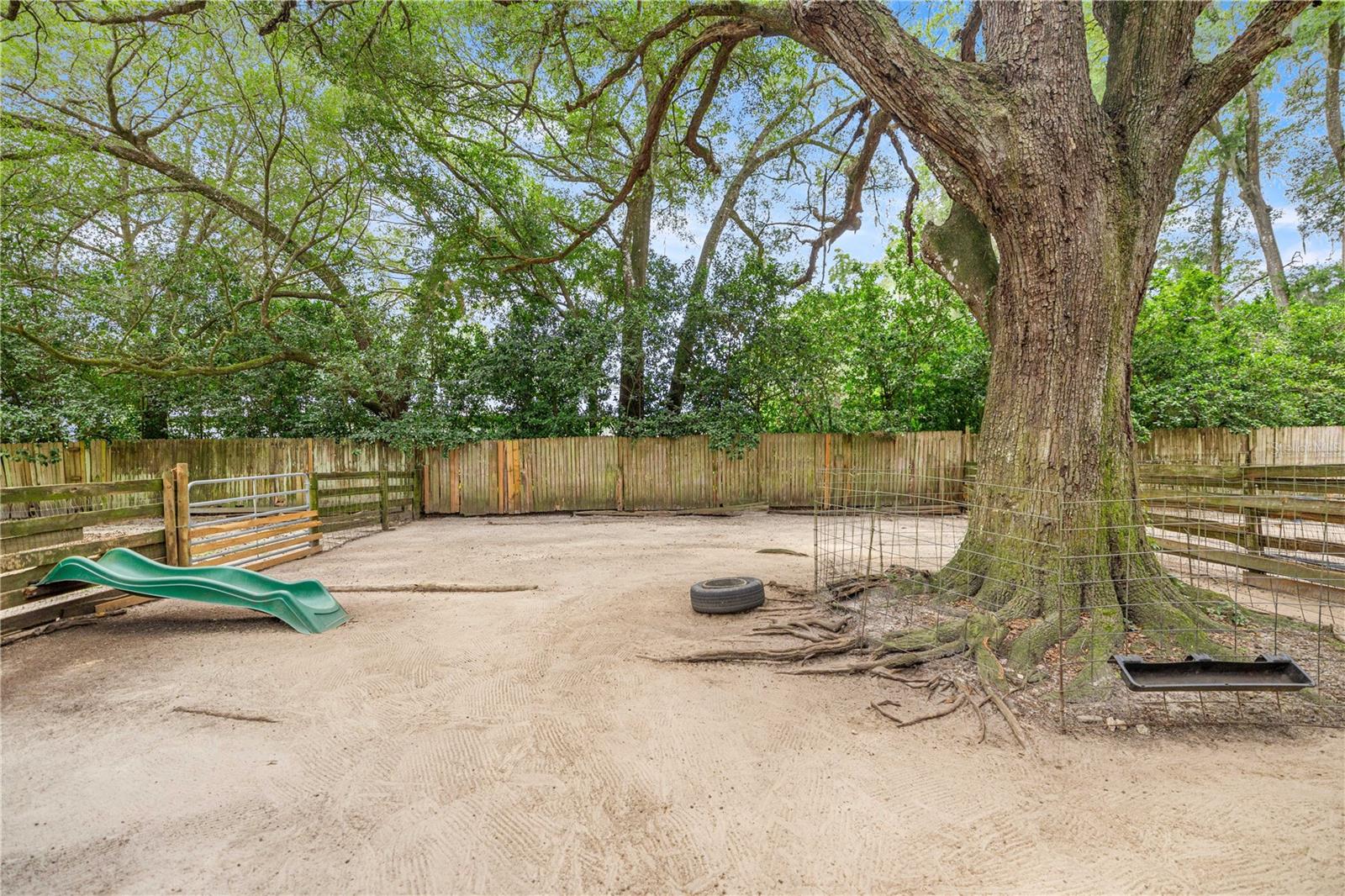 4556 E View Top Ln Property Photo 71