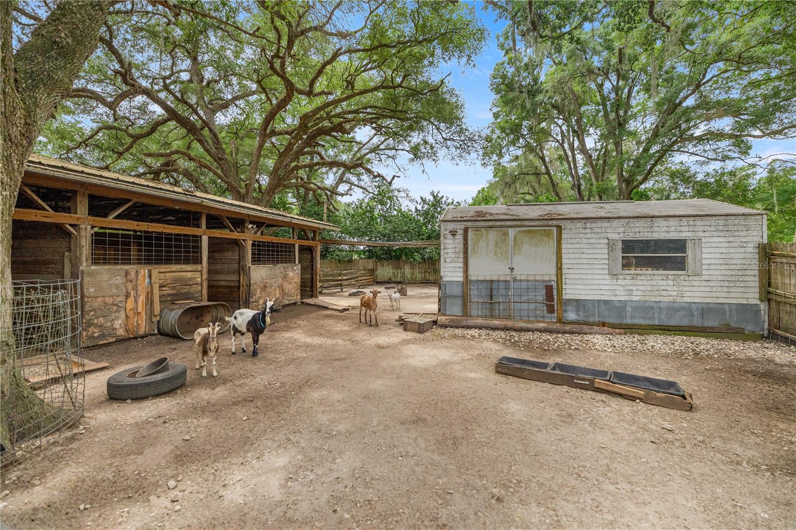 4556 E View Top Ln Property Photo 75