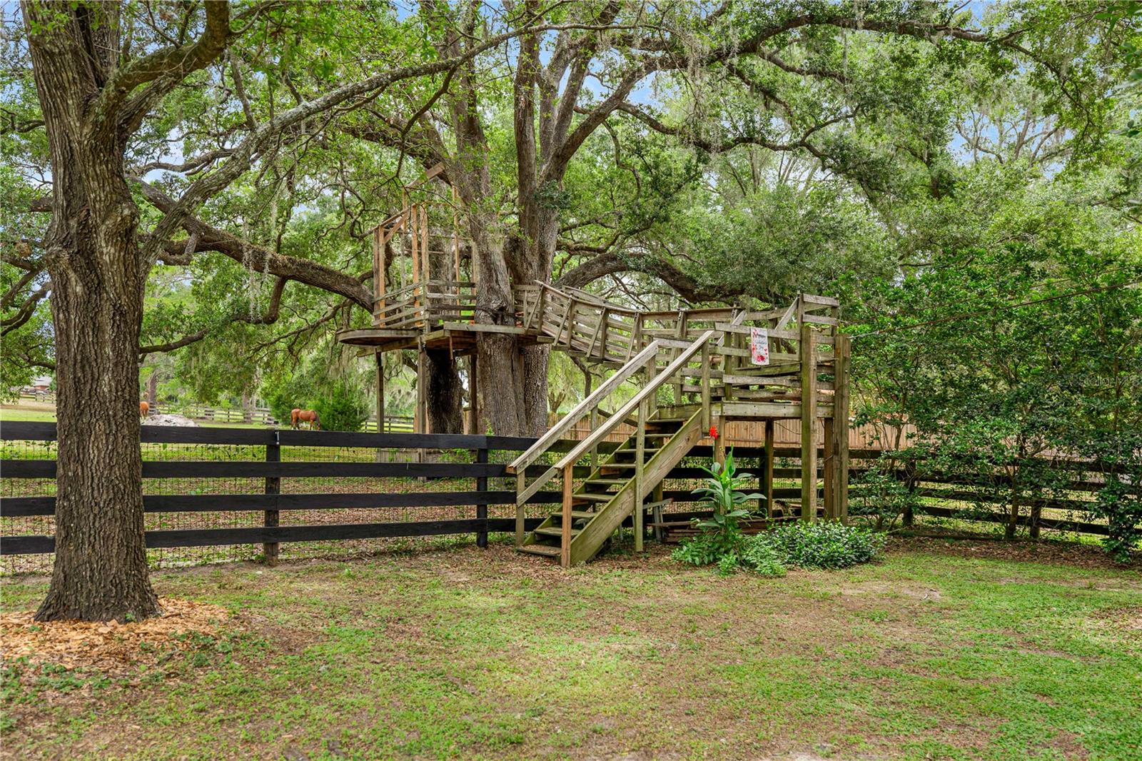 4556 E View Top Ln Property Photo 80