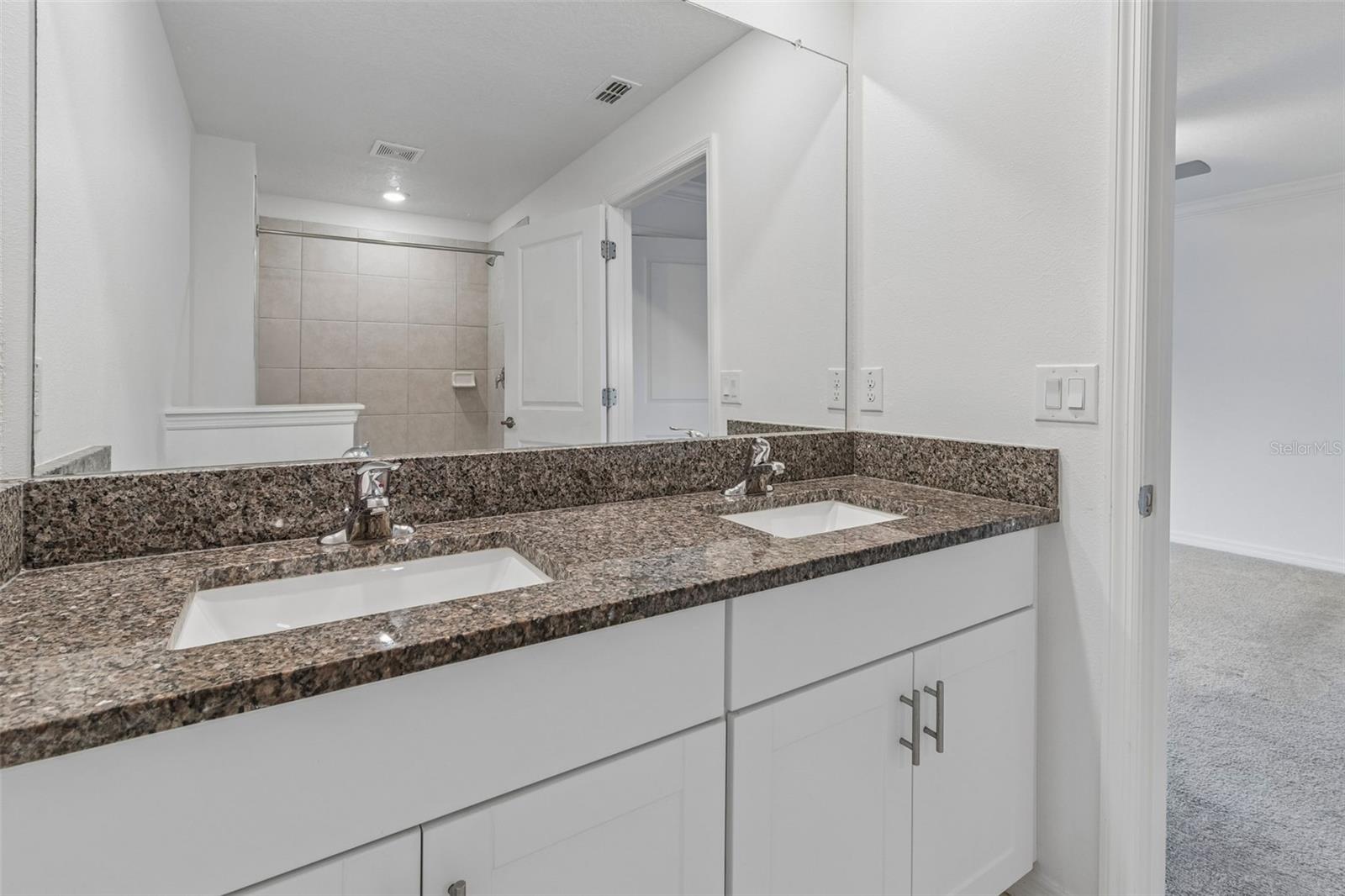 30751 Veridian Way Property Photo 46