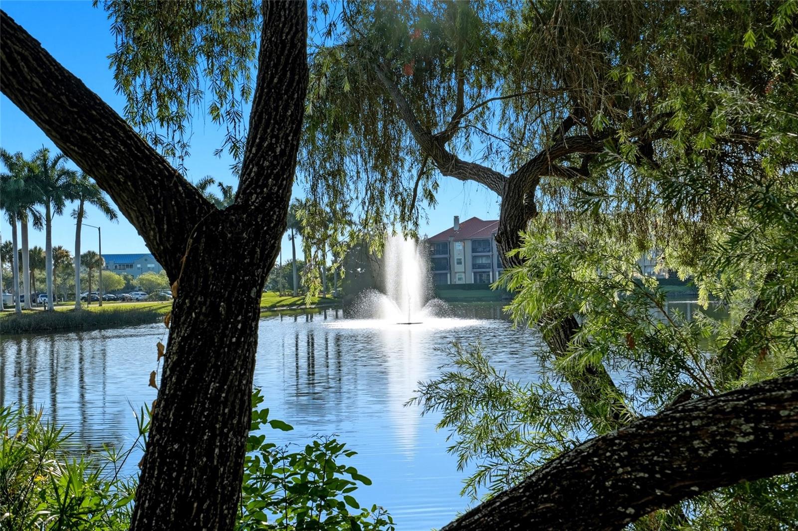 2400 Feather Sound Dr #1428 Property Photo 24