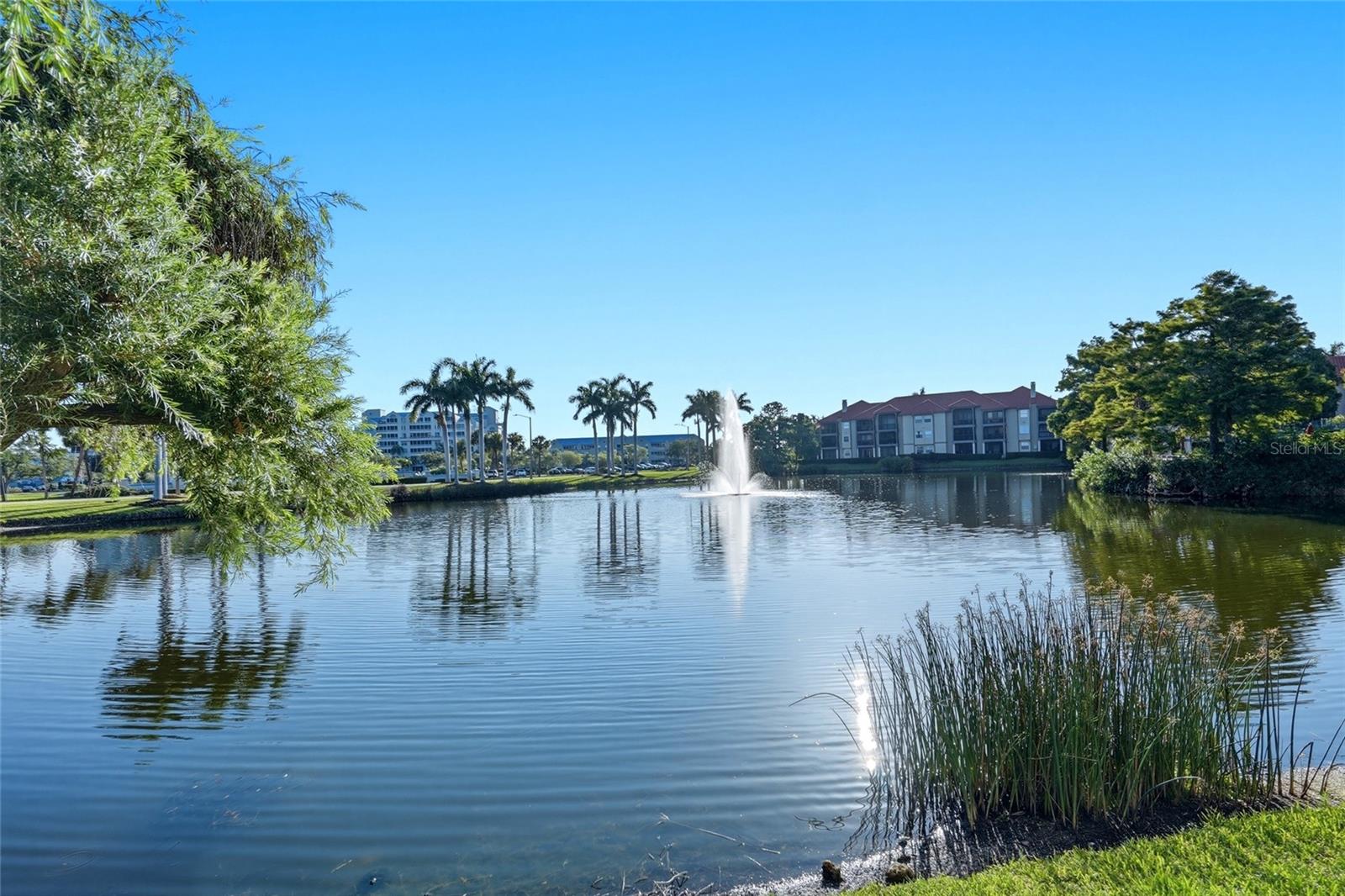 2400 Feather Sound Dr #1428 Property Photo 25