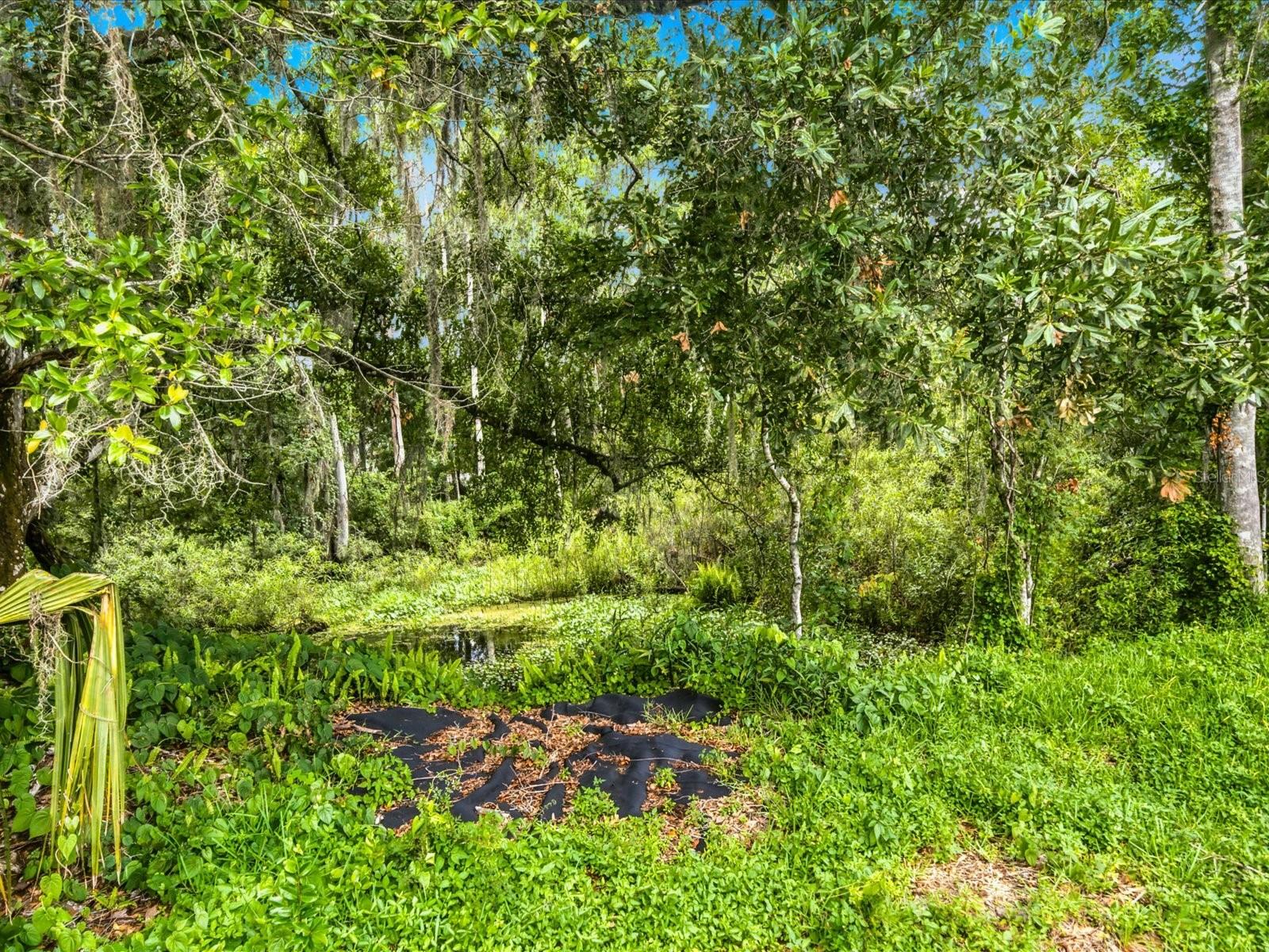 4617 Debbie Ln Property Photo 47