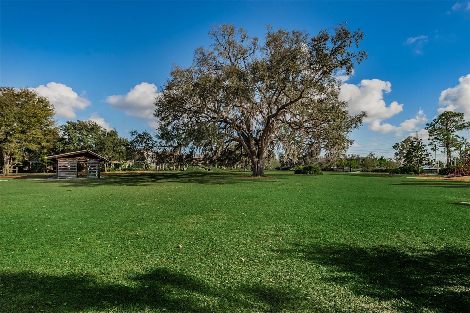 13125 Batten Ln Property Photo 63