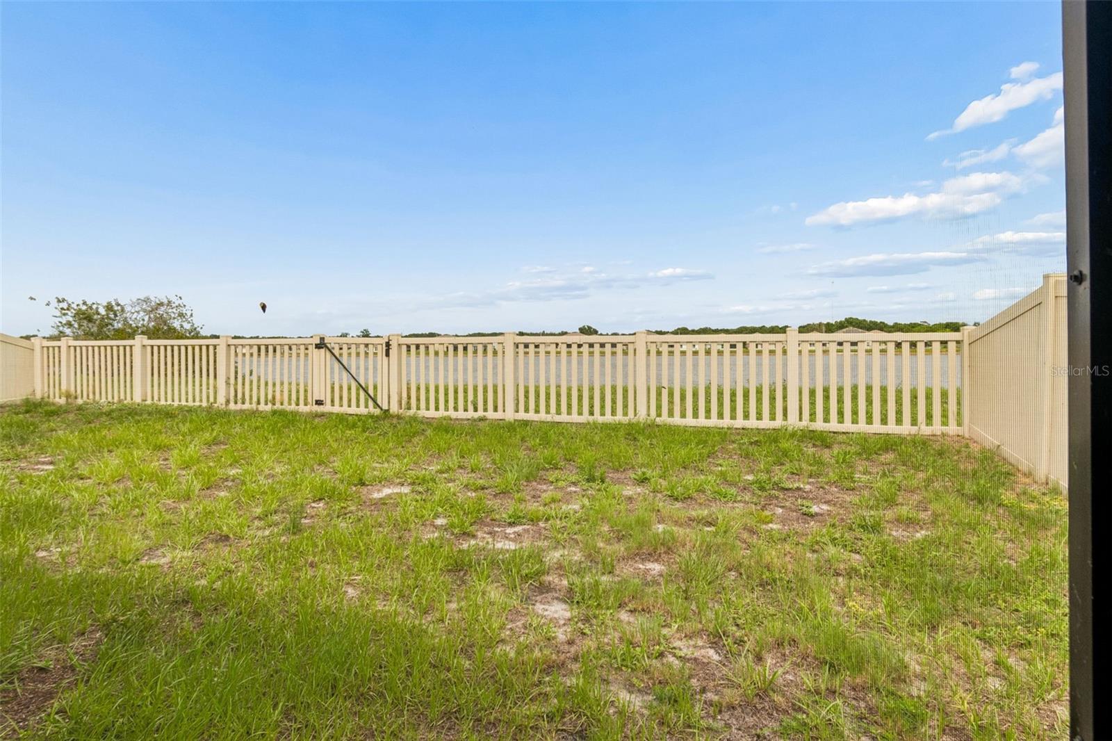 11669 Stone Pine St Property Photo 37