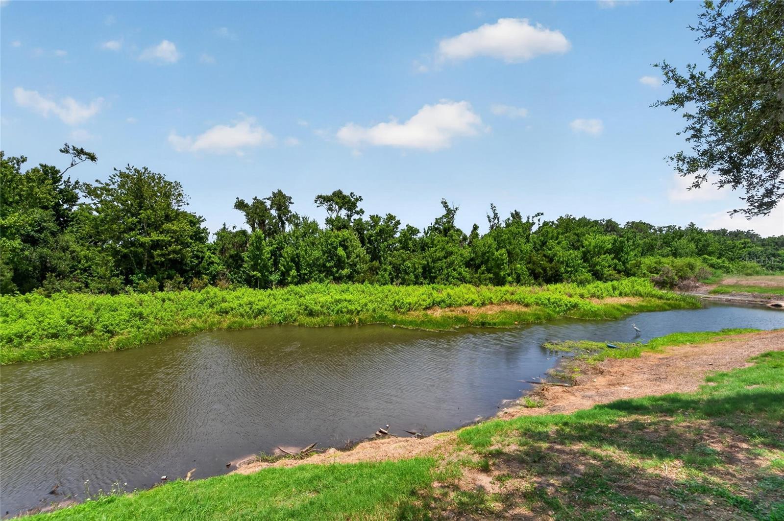 15428 Florida Breeze Loop Property Photo 46