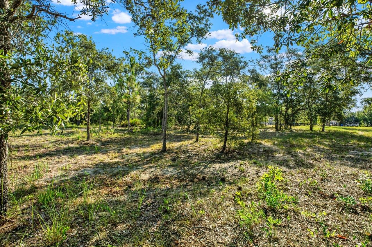 0 Condor Rd Property Photo 13
