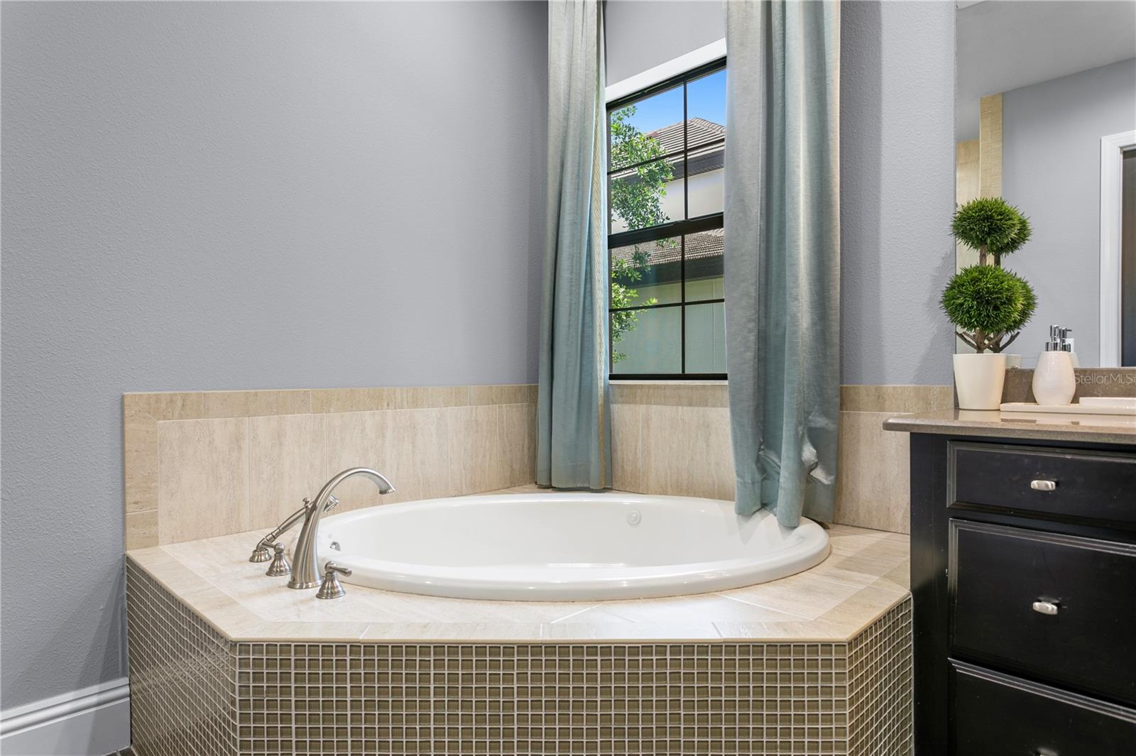 15306 Fishhawk Preserve Dr Property Photo 33