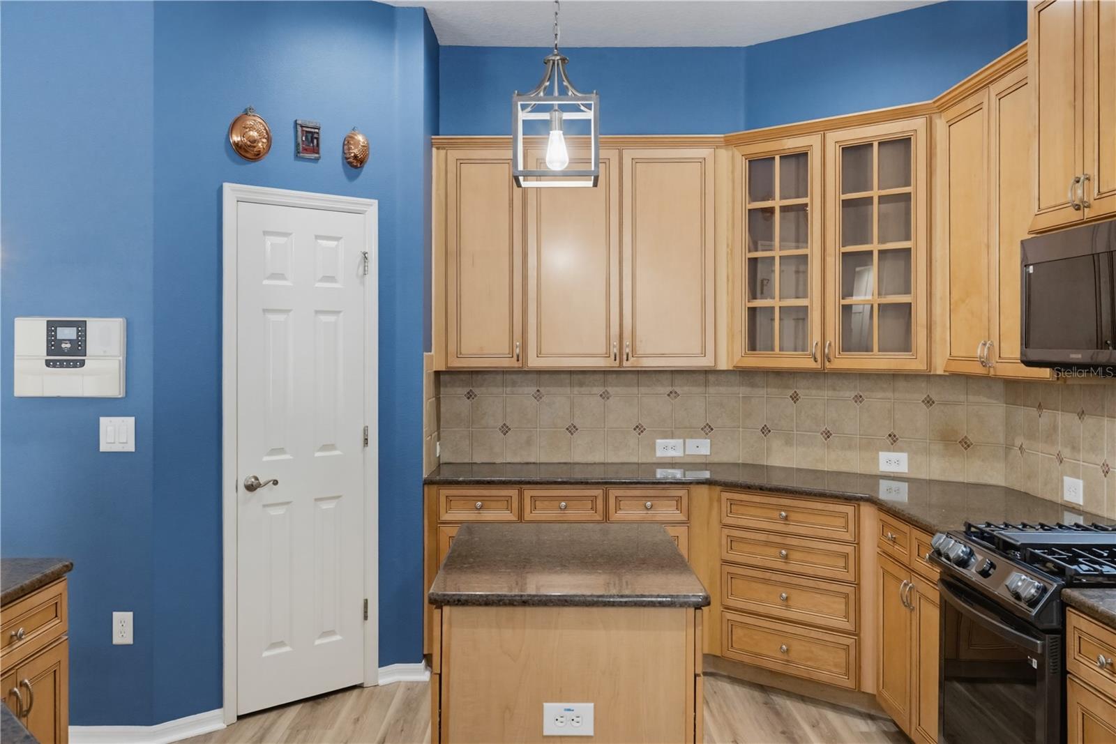 11704 Newberry Grove Loop Property Photo 30