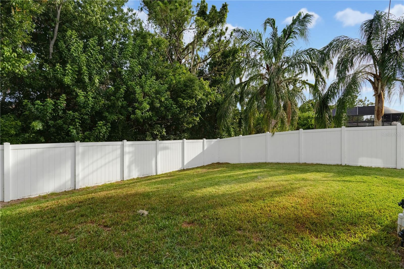 11704 Newberry Grove Loop Property Photo 92