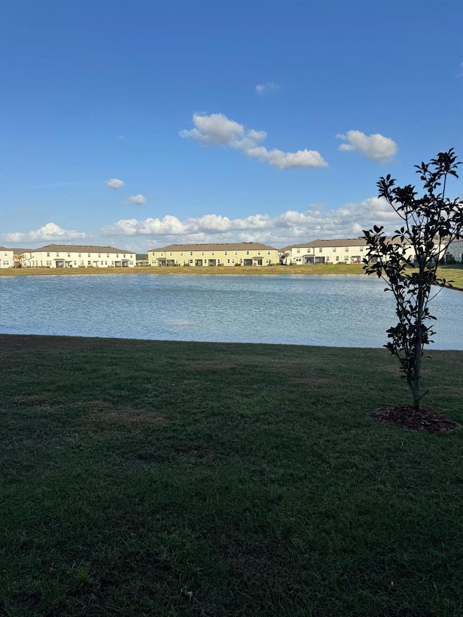 10308 Lavender Aster Trl Property Photo 18