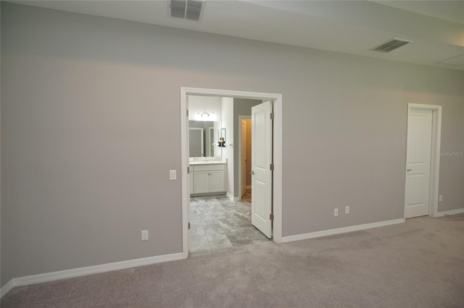 19460 Blossom Vine Ln Property Photo 49
