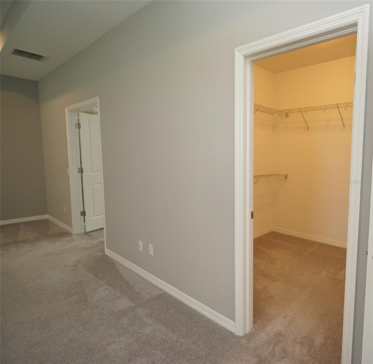19460 Blossom Vine Ln Property Photo 52