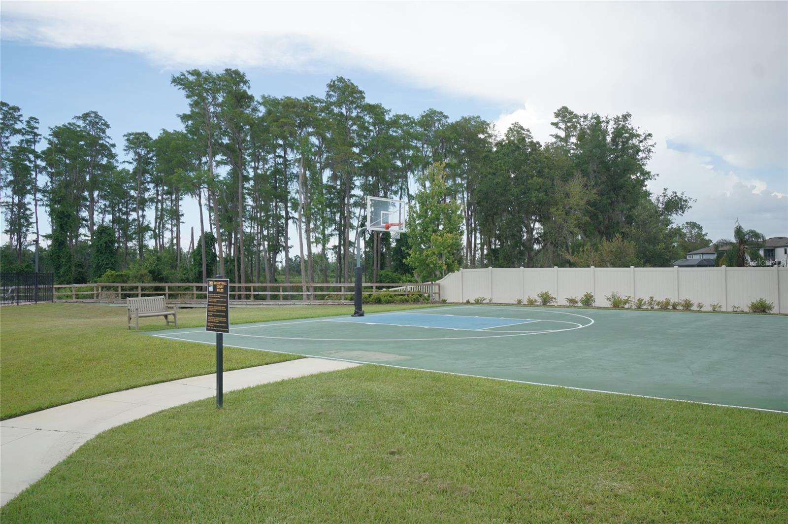 19460 Blossom Vine Ln Property Photo 55