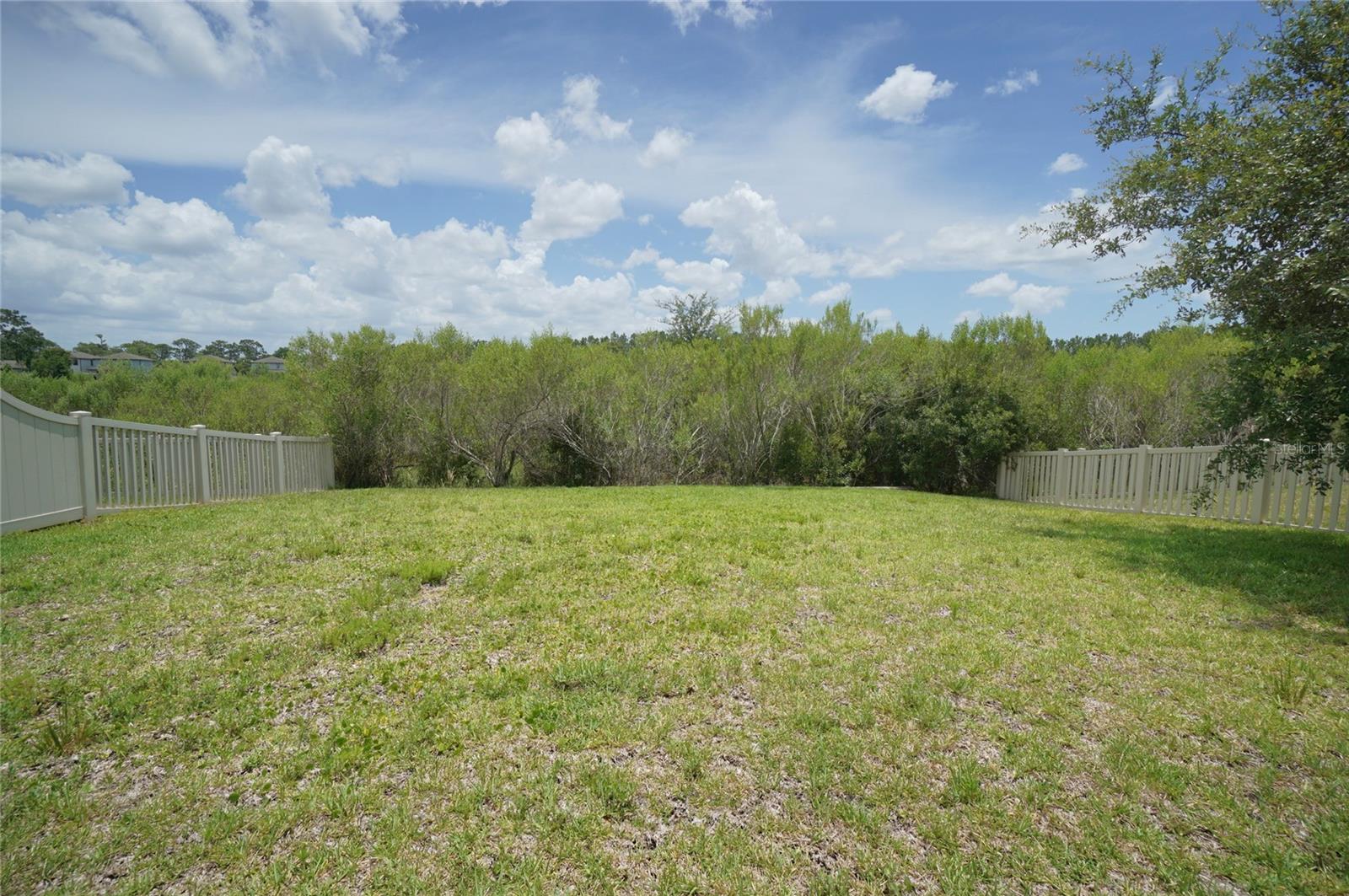 19460 Blossom Vine Ln Property Photo 58