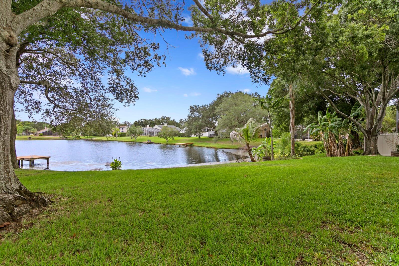 8412 Ridgebrook Cir Property Photo 61