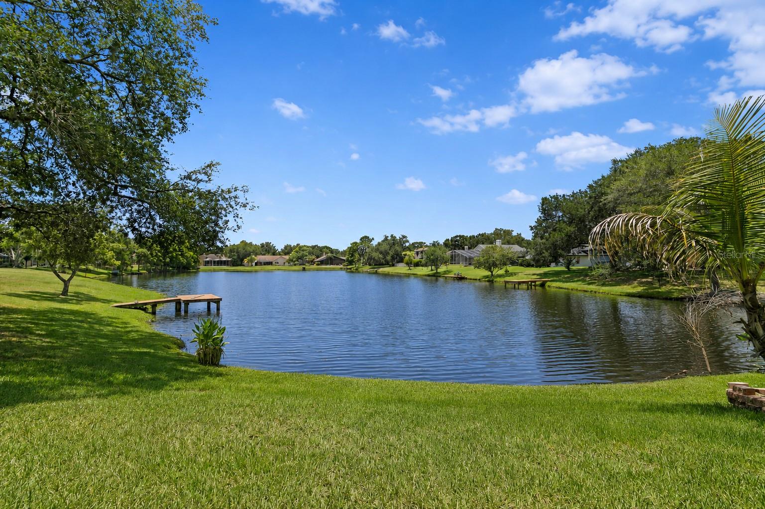 8412 Ridgebrook Cir Property Photo 64