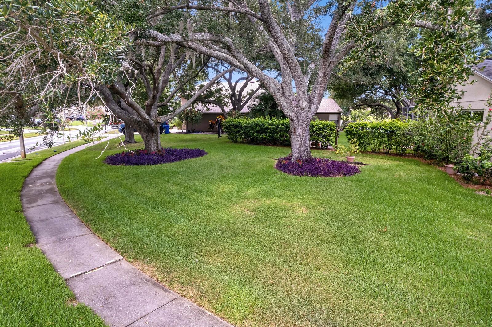 8412 Ridgebrook Cir Property Photo 85