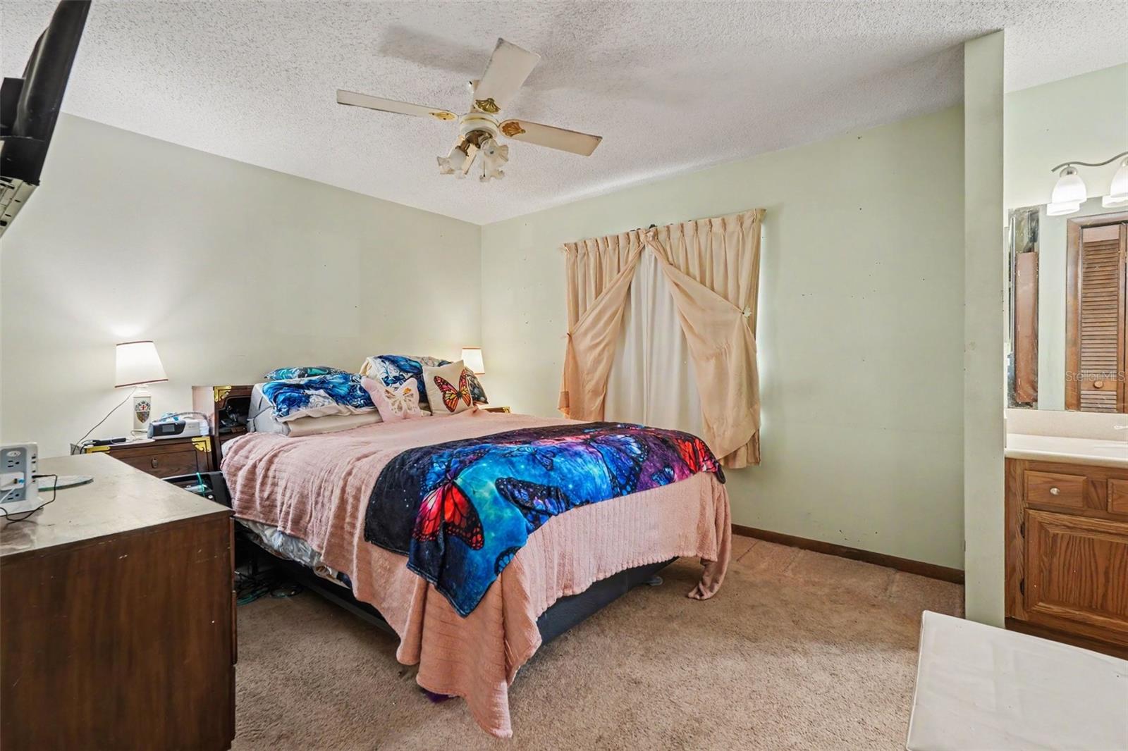 2815 Linden Tree St Property Photo 16