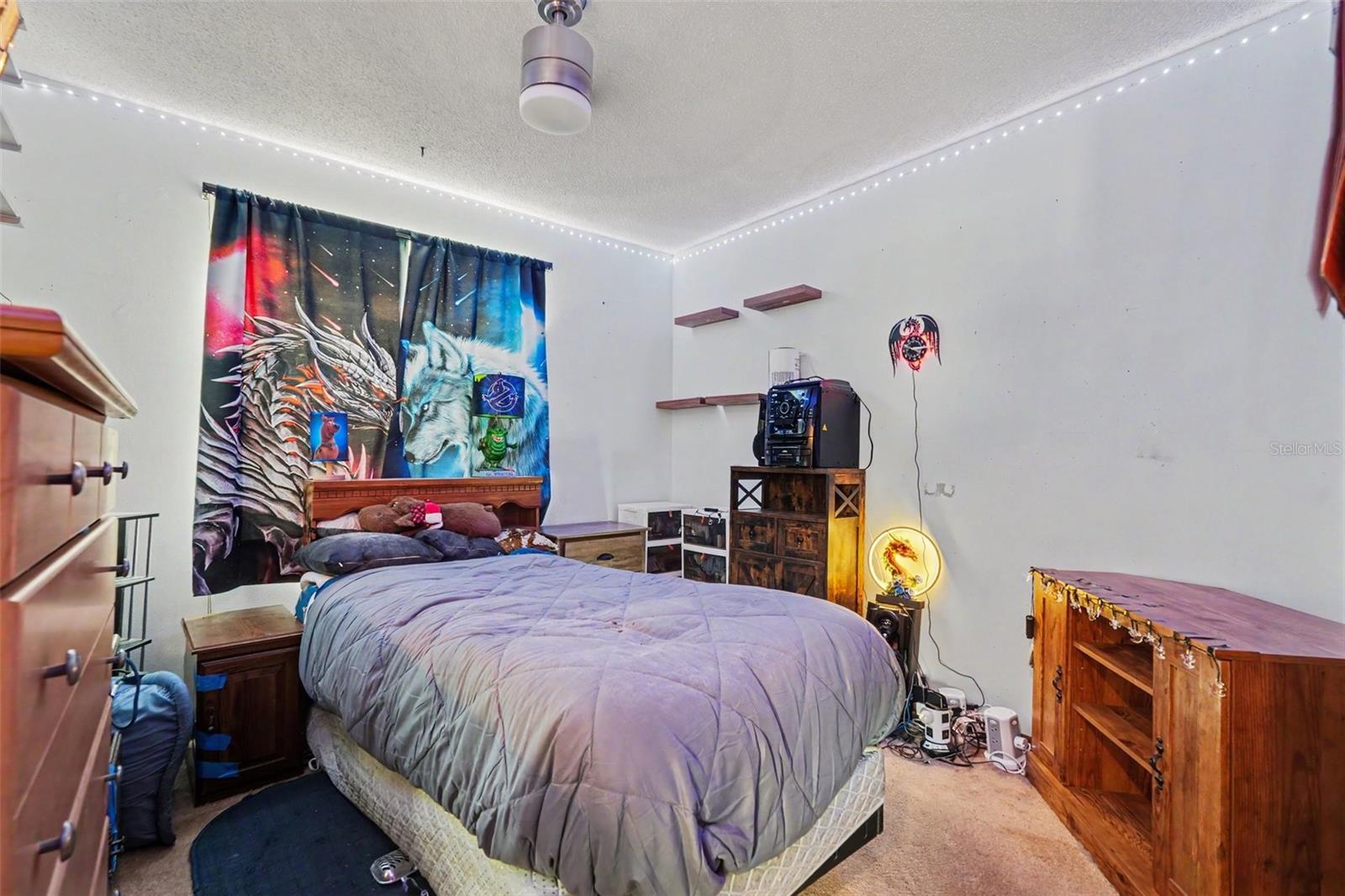 2815 Linden Tree St Property Photo 21