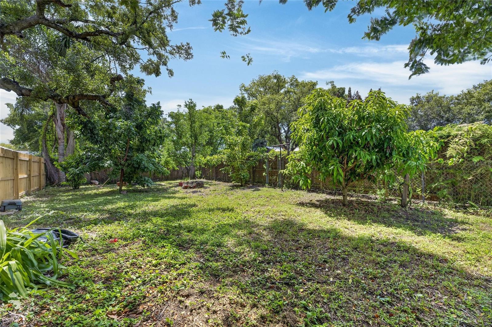 1005 E Flora St Property Photo 42