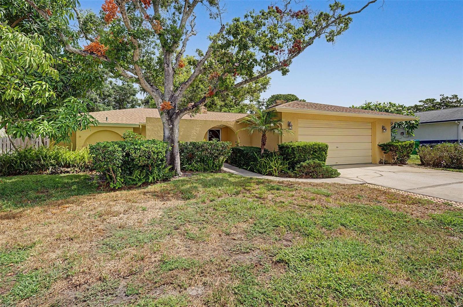 1100 Persimmon Dr Property Photo 34