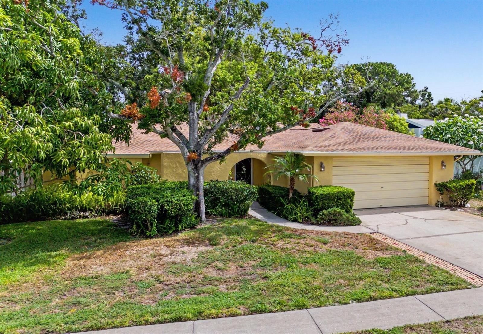 1100 Persimmon Dr Property Photo 36