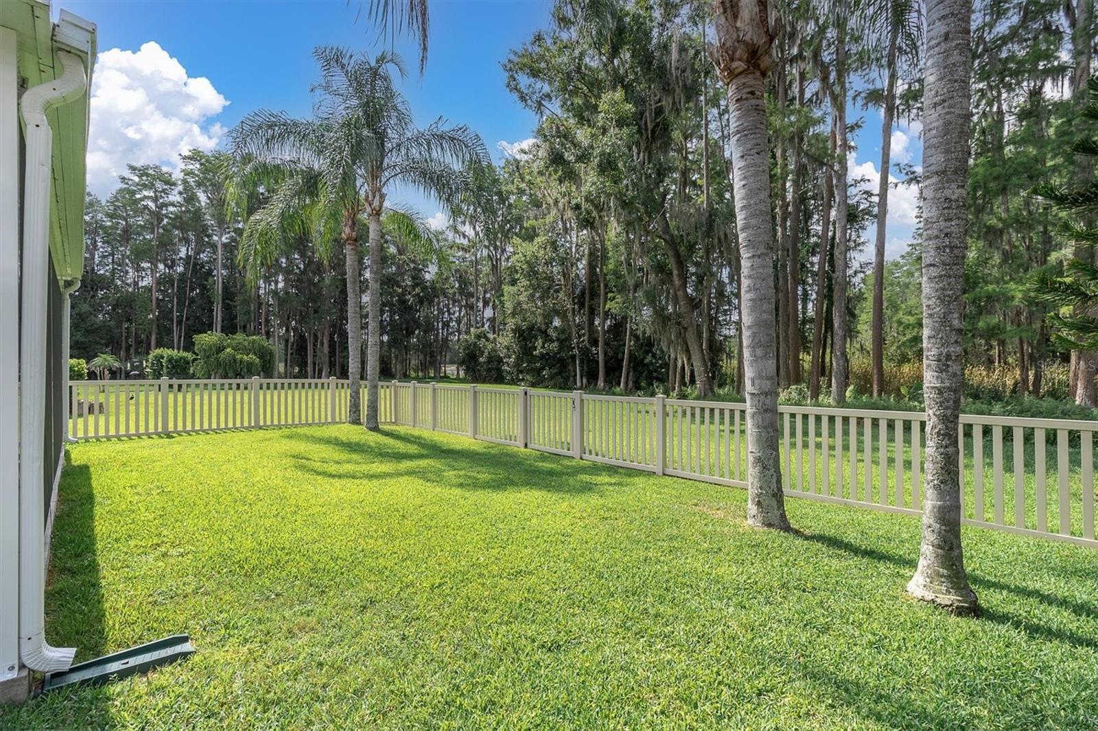 7832 Blue Spring Dr Property Photo 33