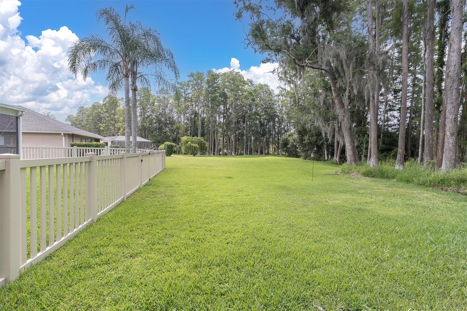 7832 Blue Spring Dr Property Photo 37