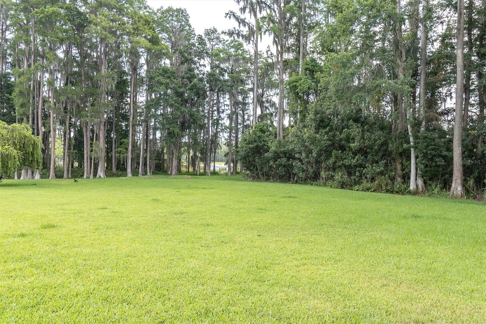 7832 Blue Spring Dr Property Photo 39