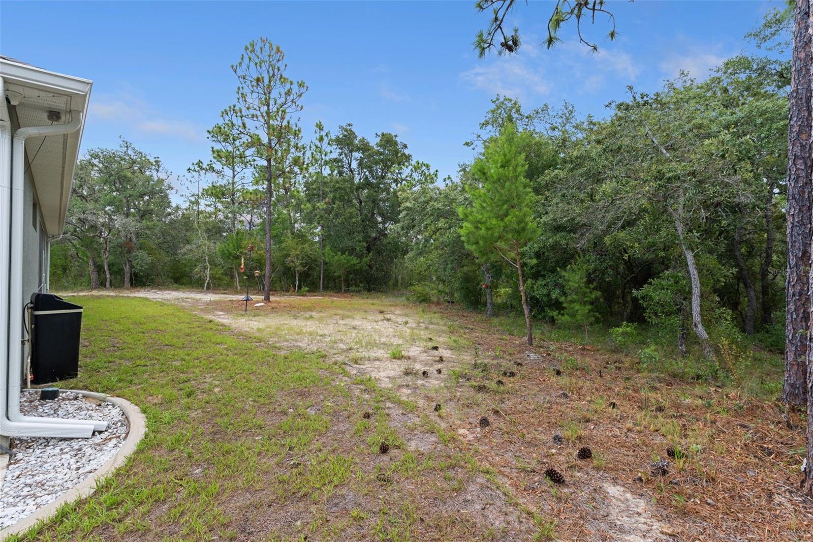 14610 Hidden Deer Trl Property Photo 68