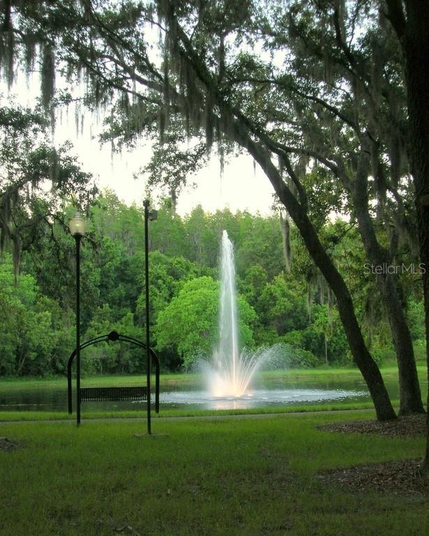 5100 Burchette Rd #3802 Property Photo 3