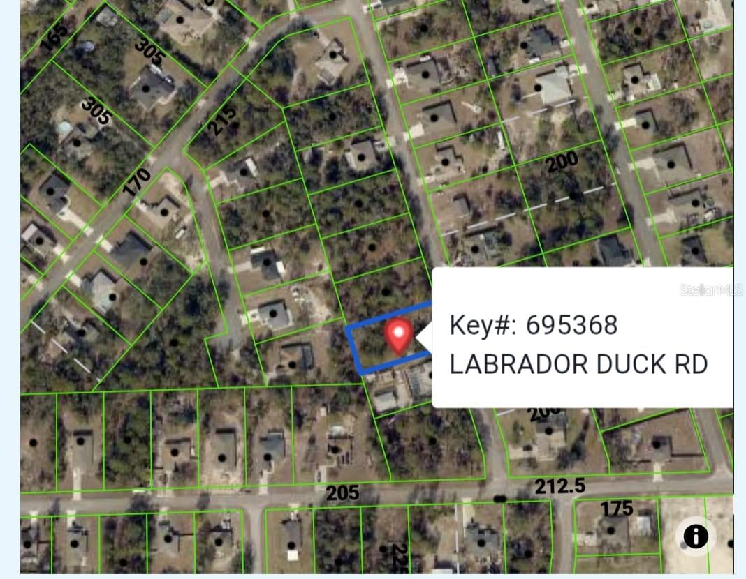 11335 LABRADOR DUCK RD Property Photo 1