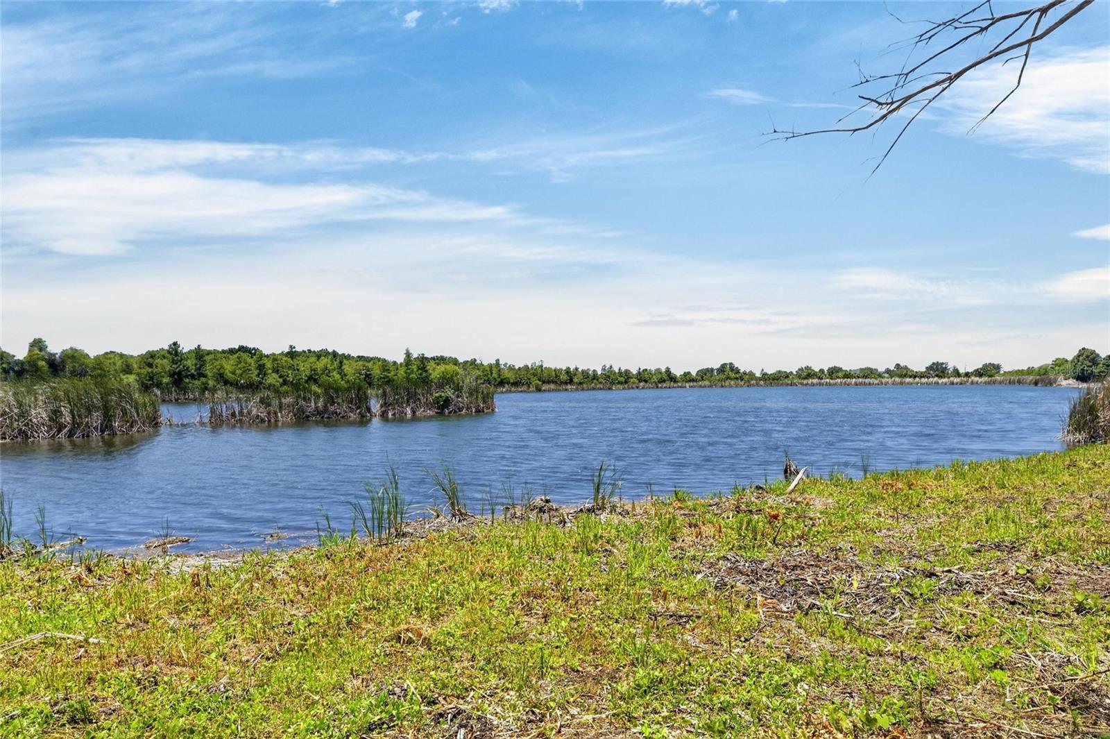 3016 Smilodon Trl Property Photo 57