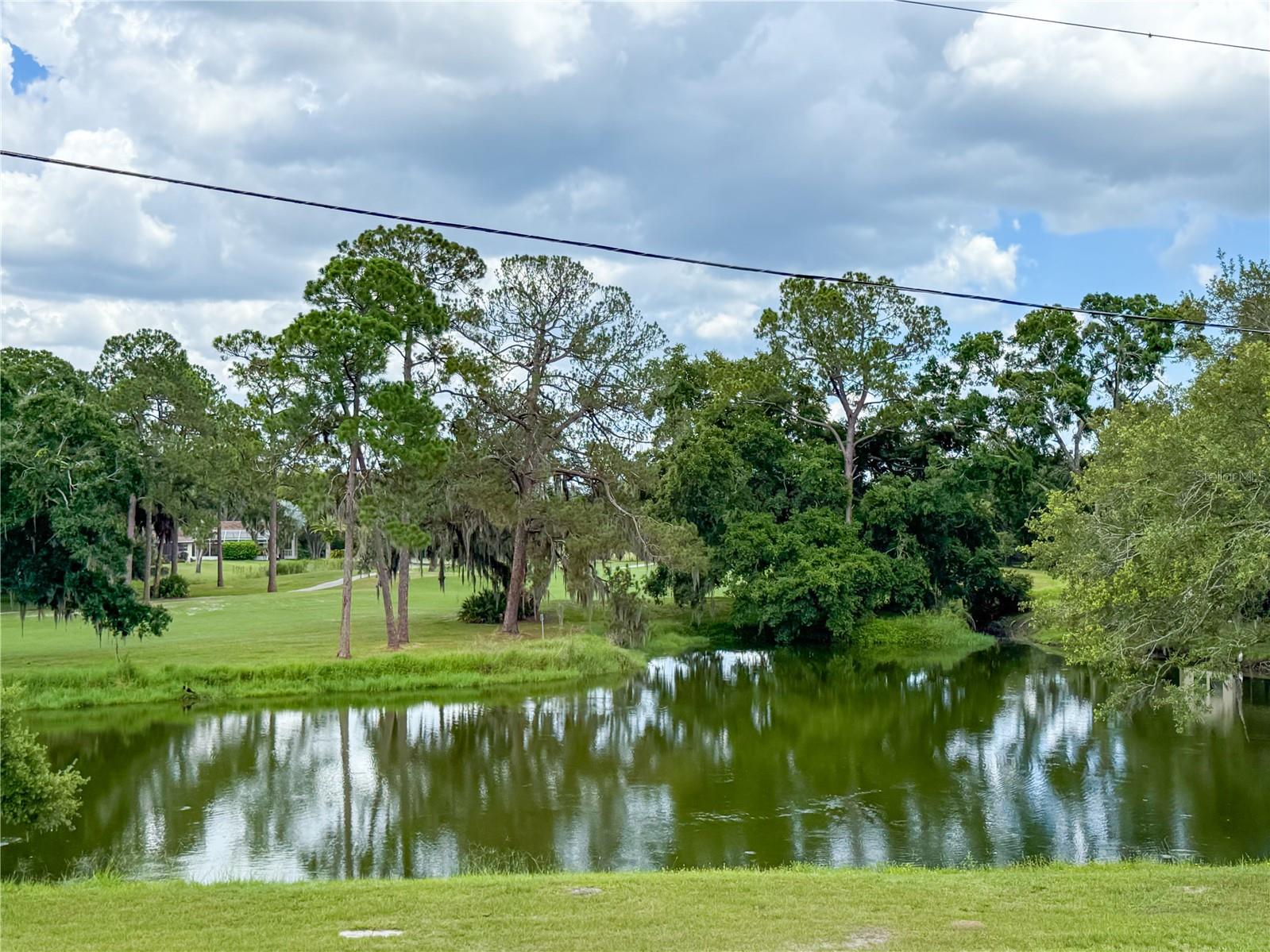 2650 Tanglewood Trl Property Photo 32