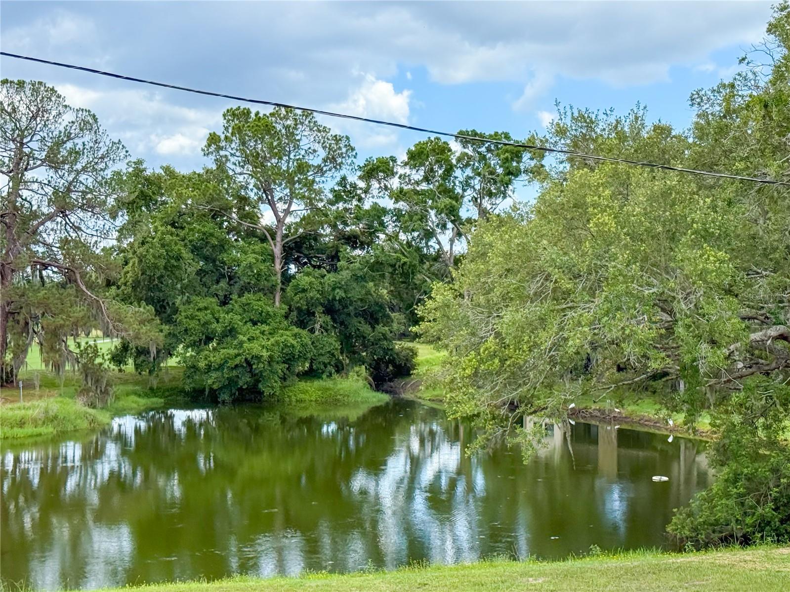 2650 Tanglewood Trl Property Photo 33