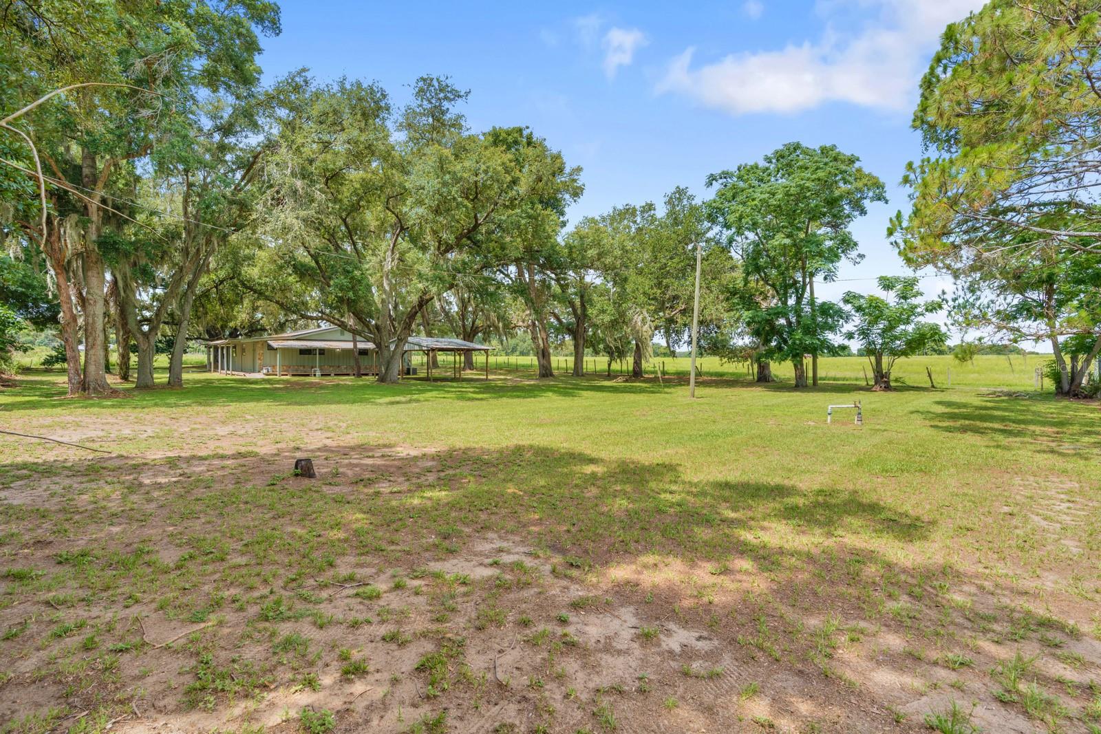 12616 Thonotosassa Rd Property Photo 35