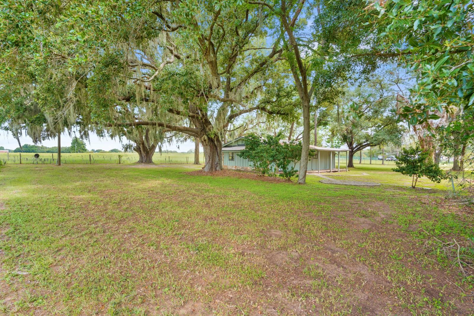 12616 Thonotosassa Rd Property Photo 36