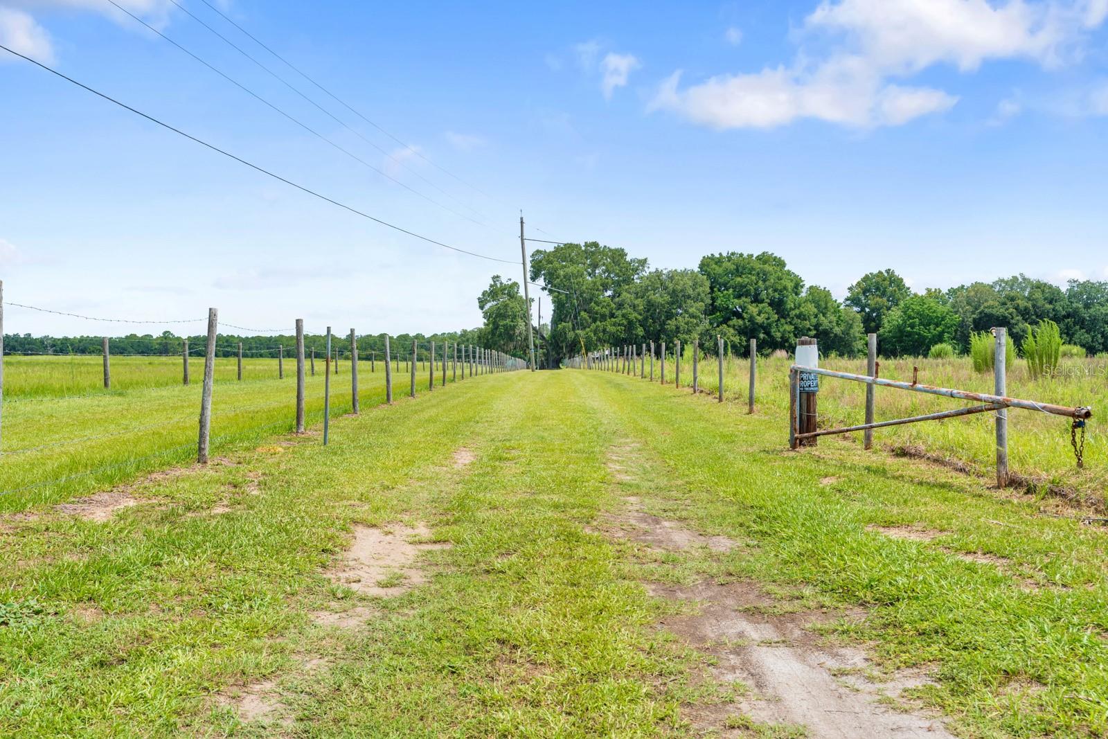 12616 Thonotosassa Rd Property Photo 37