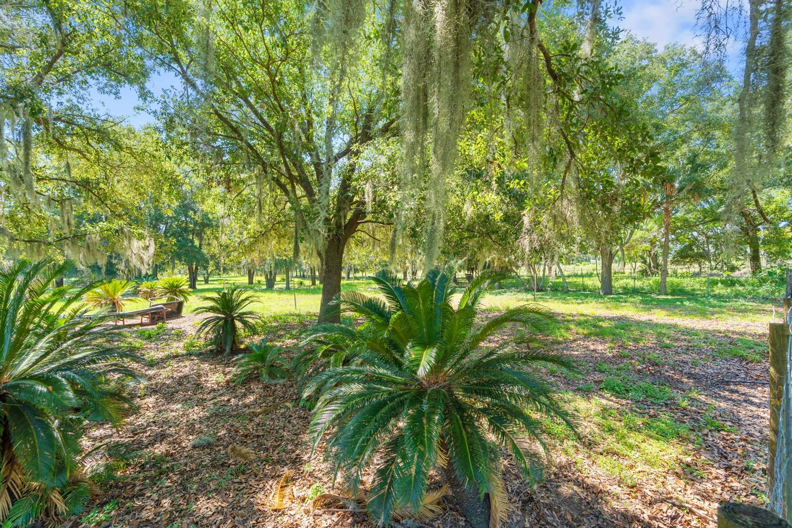 12616 Thonotosassa Rd Property Photo 38