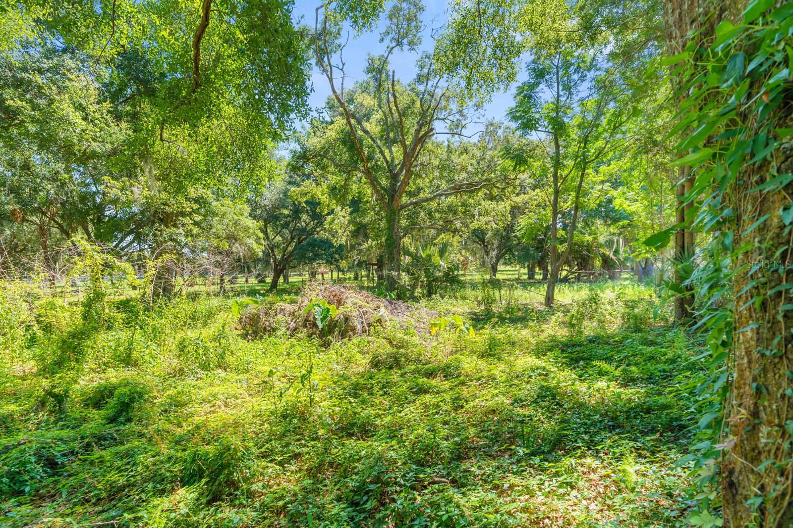 12616 Thonotosassa Rd Property Photo 41